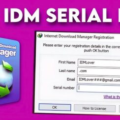 IDM Serial Crack 6.39 Build 2 Patch + Serial Key [Latest Version Download]