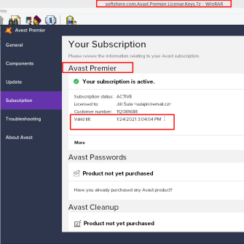 Avast Premier License File Download Latest 2025