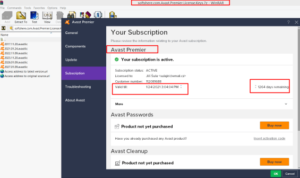 Avast Premier License File