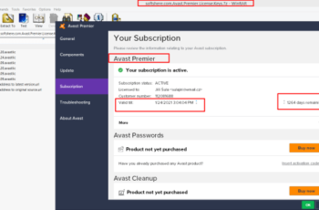 Avast Premier License File Download Latest 2025